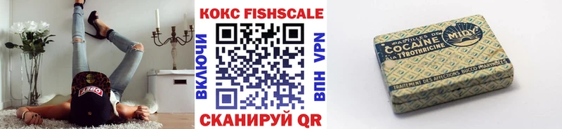 купить наркоту  Жуков  hydra вход  COCAIN 98% 